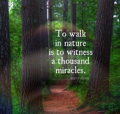 Quotes About Nature