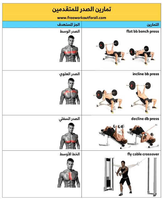 تمارين الصدر