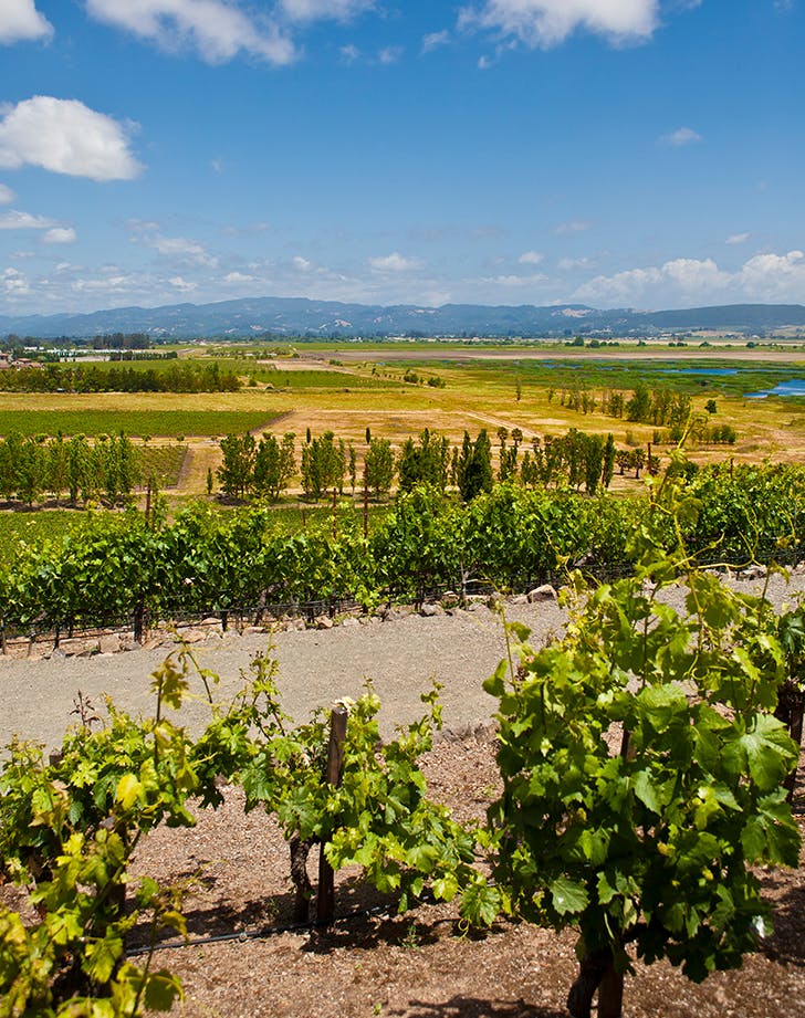 SONOMA VALLEY, CA