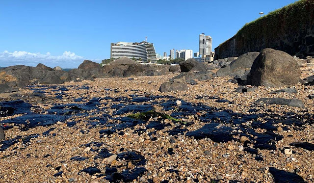 Manchas de óleo chegam às praias de Ondina e Farol da Barra em Salvador