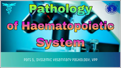 Pathology of Haematopoietic System