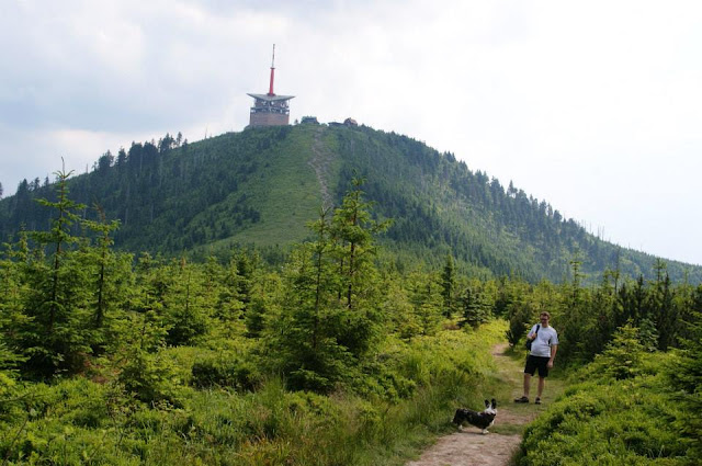 Lysa Hora lysa hora, czechy, czechy z psem, z psem w czechach, cardimania, podróże z psem, podróżowanie z psem, z psem w podróży, pies w górach, z psem w górach, na szlaku z psem, welsh corgi, welsh corgi cardigan, cardigan, biba