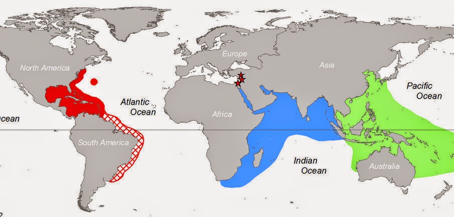 Lionfish Invasion Map