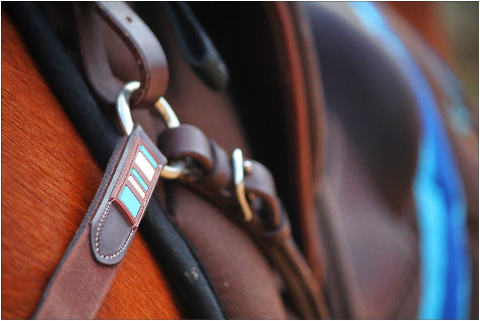 W I M P Voltaire Design