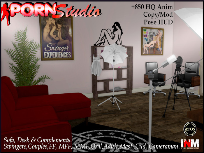 Second Life Adult Furniture and Equipment