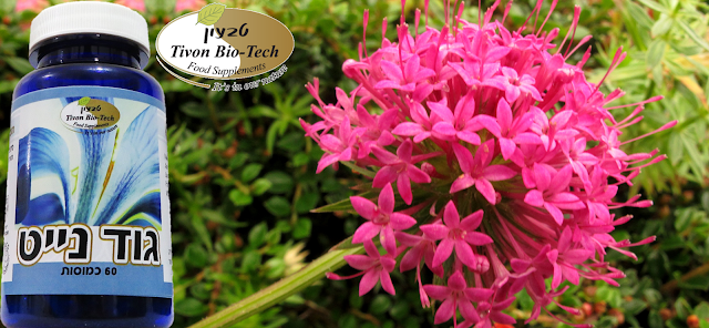 שינה מנוחה טבעון