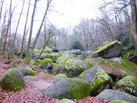 Randonnée Tarn Sidobre Bea Rando Decouverte