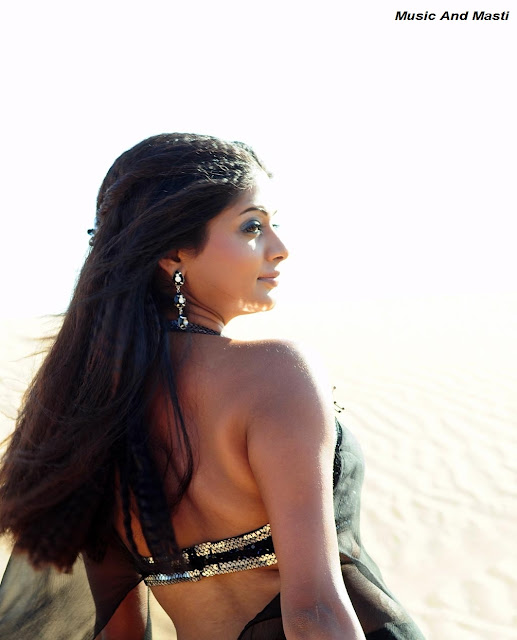 Actress Priyamani Black Saree Photos
