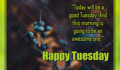 Tuesday Quotes - Quotes about Tuesday