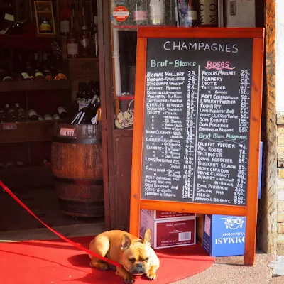 Nice Carnaval - Antibes - dog outside a wine shop