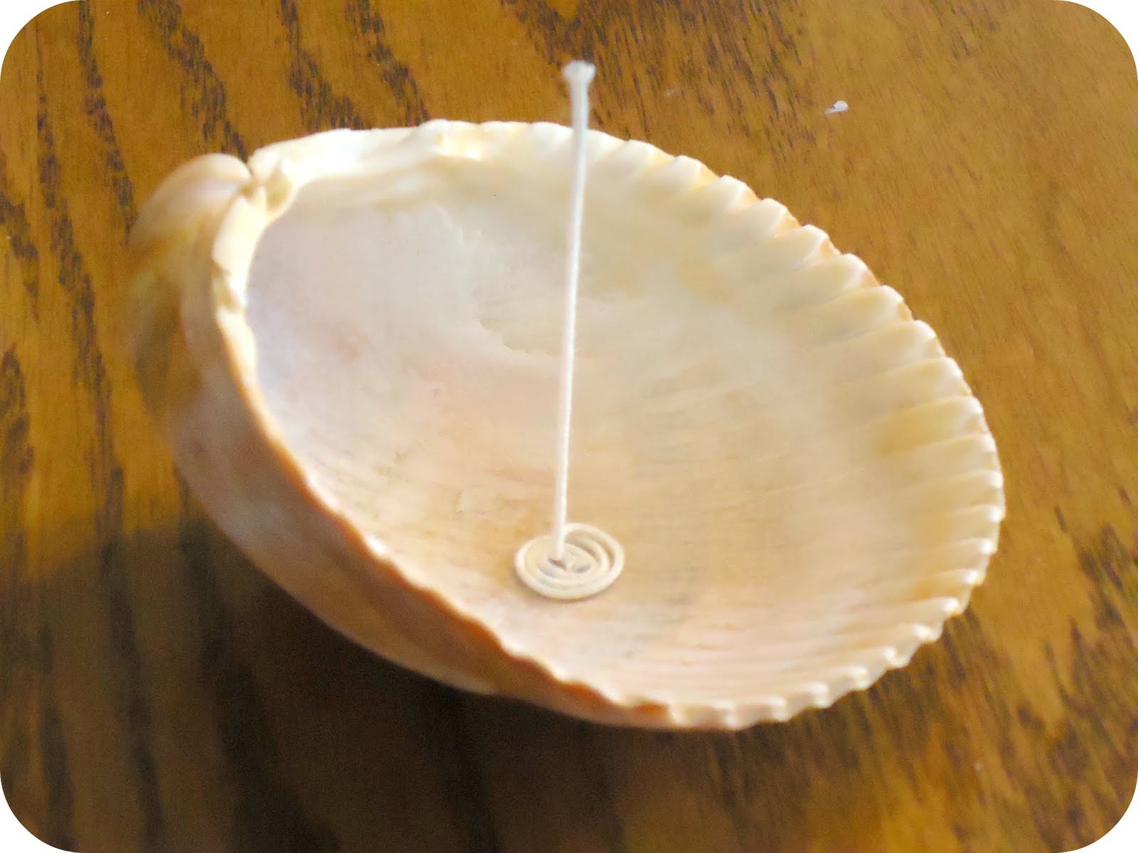 Homemade Serenity Why Don't You Make Sea Shell Candles