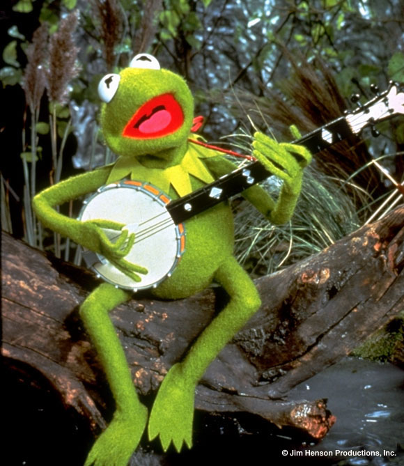 kermit frog rainbow observations crazy connection