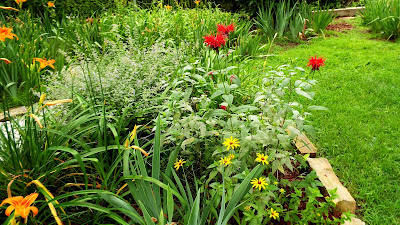 Yard and Garden Secrets: Wildflower Garden Ideas