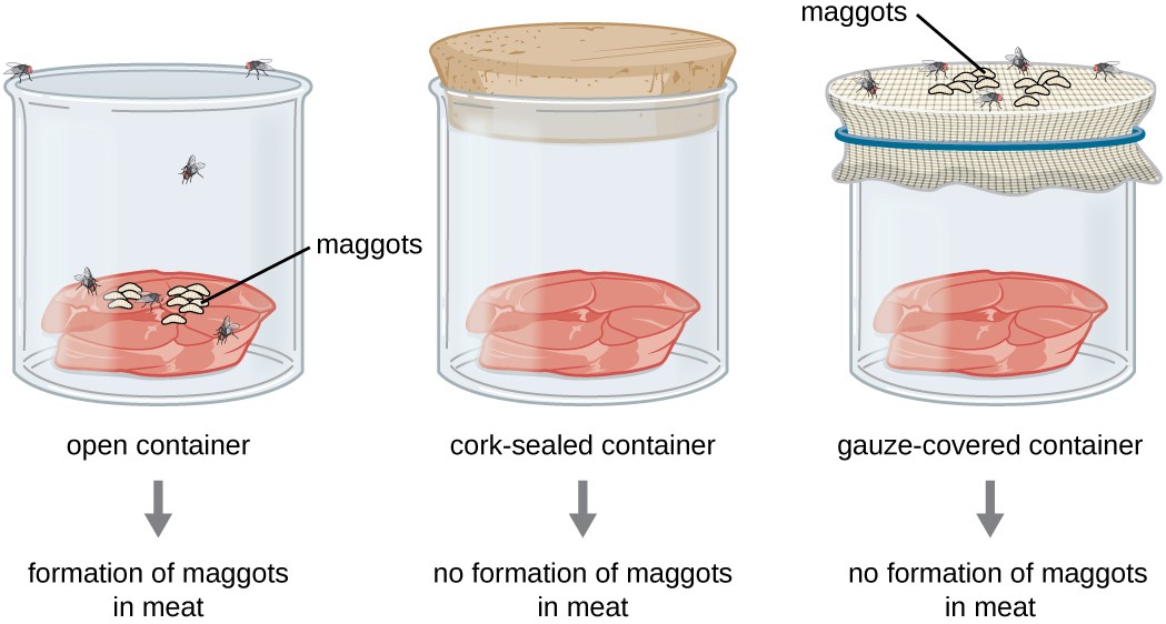 Concept of Spontaneous Generation and Biogenesis