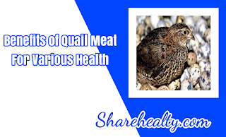 Fact: 15 Benefits of Quail Meat for Various Health
