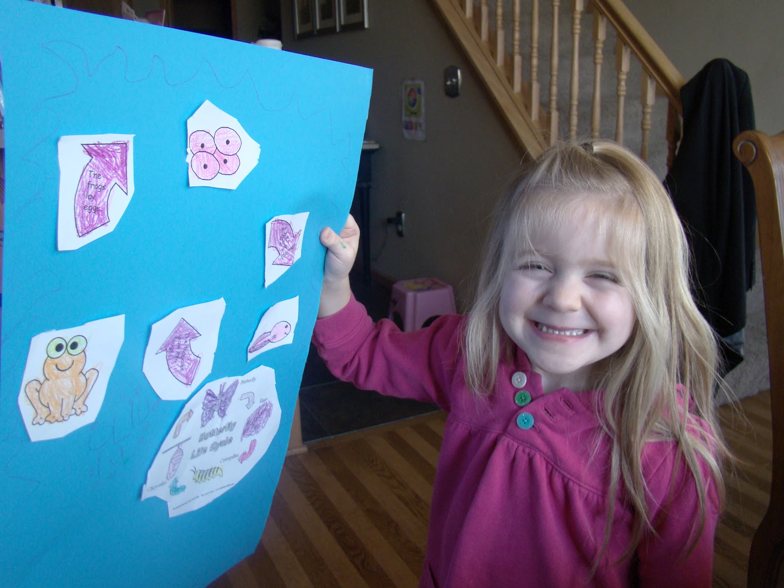 Rooted Mama Life Cycle of the Frog