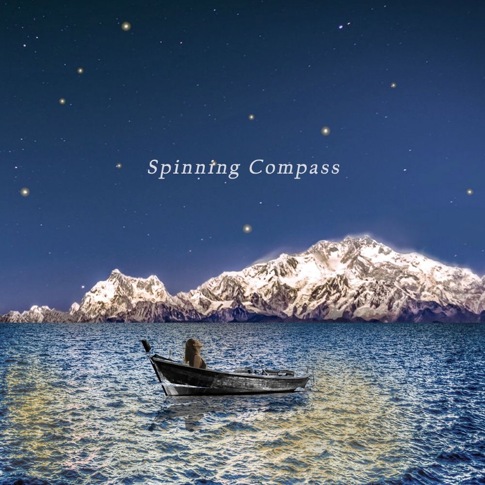 ZISU – Spinning Compass – Single