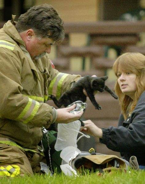 Melissa ... with a fireman helping animals