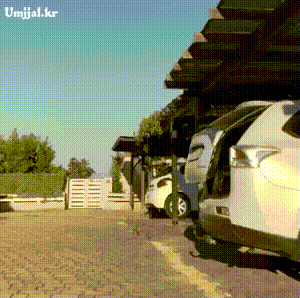 umjjal_kr_077.gif