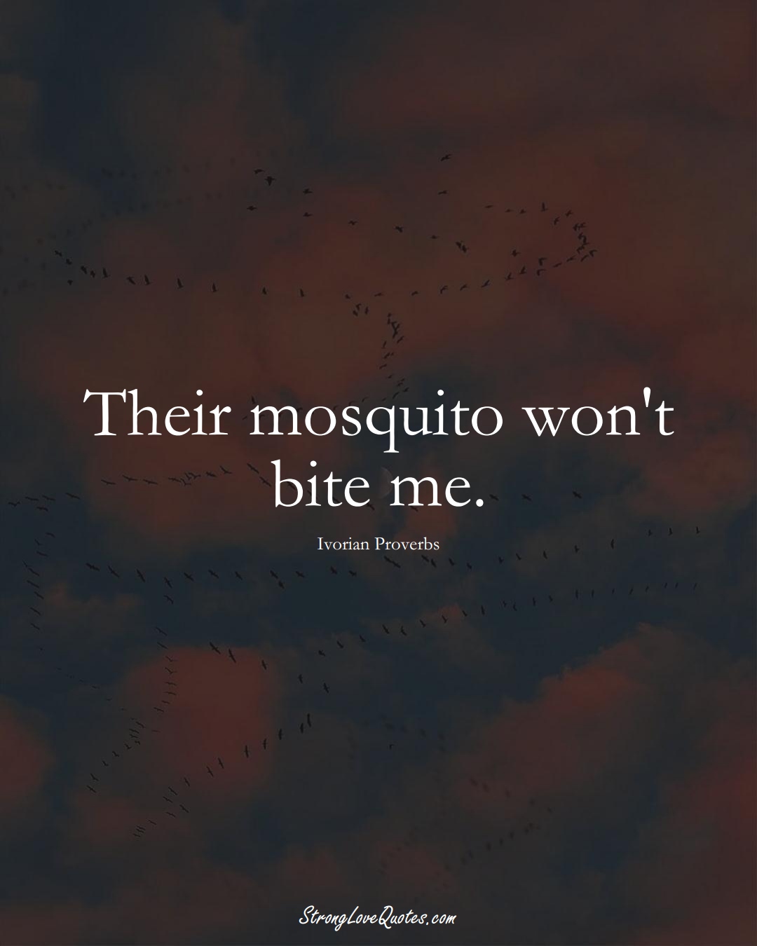 Their mosquito won't bite me. (Ivorian Sayings);  #AfricanSayings