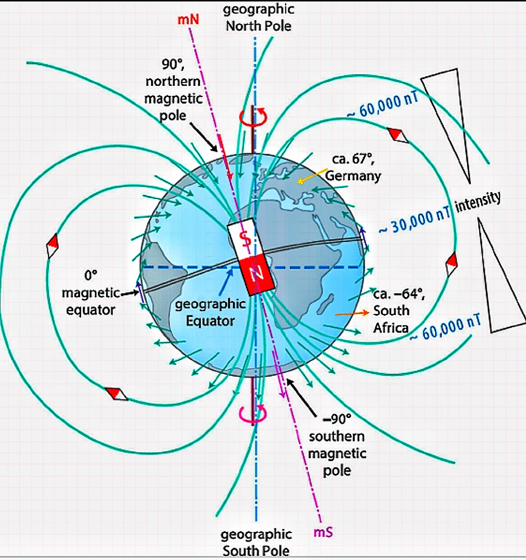 Our bodies and life is all connect by our Earth's magnetic pole