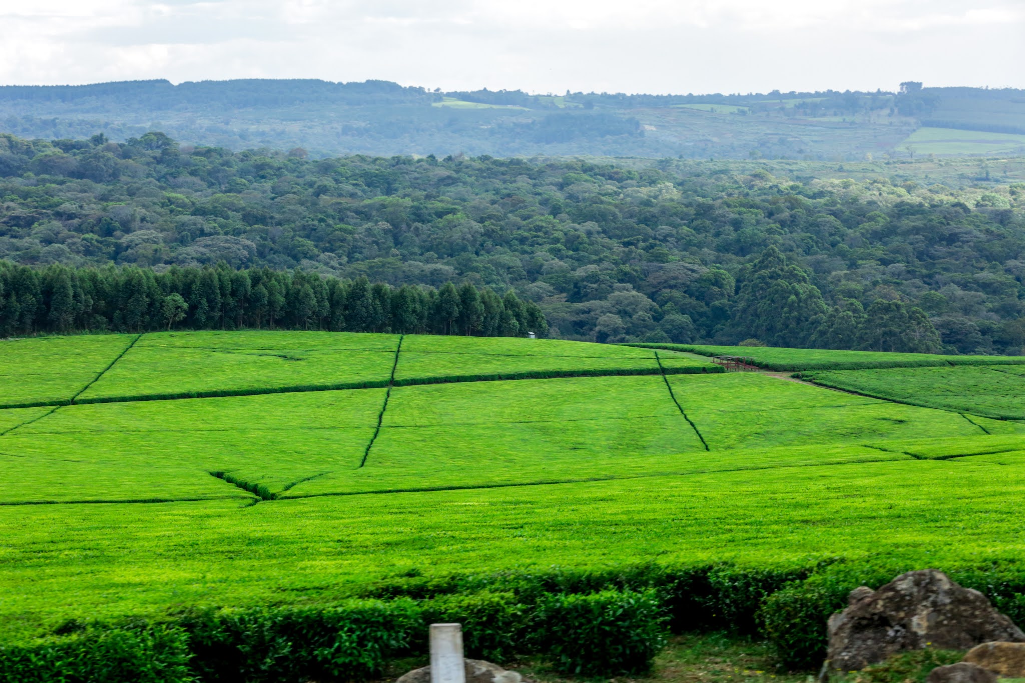 KERICHO THE GREEN TOWN