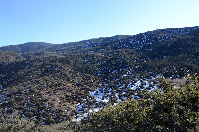 Frazier Mountain on snowhoes
