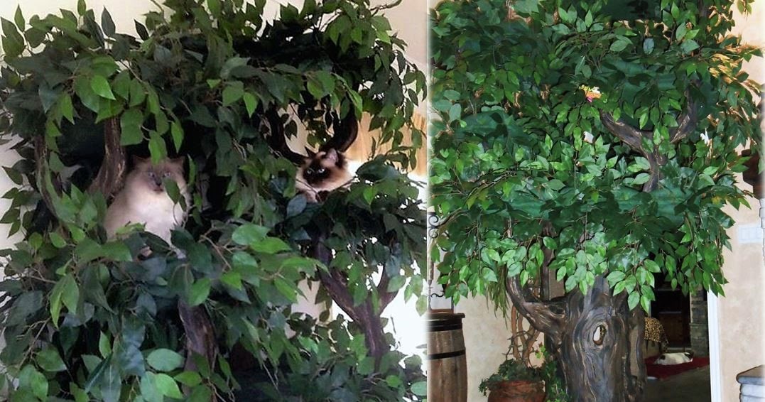 Luxury Cat Trees for Spoiled Rotten Kitties Large Cat Tree