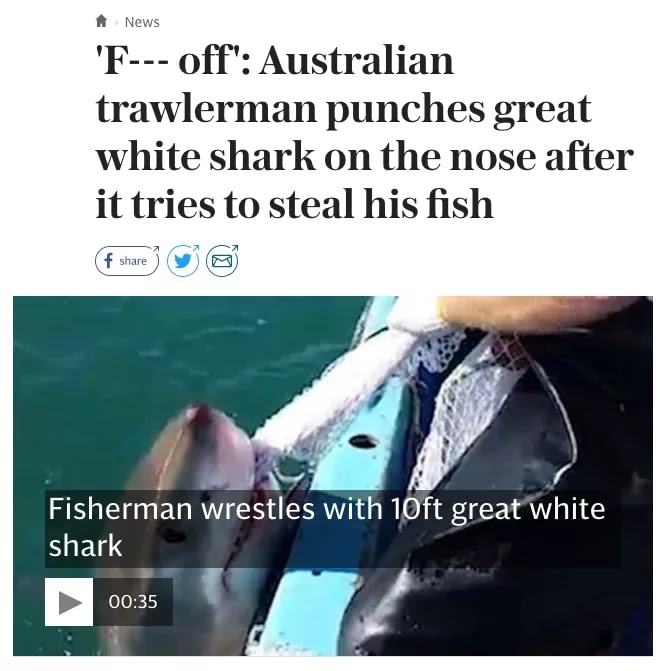 26 Shocking Photos Depict Hilarious Differences Between Britain And Australia 26 Shocking Photos Depict Hilarious Differences Between Britain And Australia