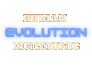 Human evolution mnemonic