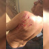 Vídeo: homem é atacado por capivara enquanto mergulhava em lago