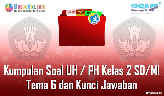 Kumpulan Soal UH / PH Kelas 2 SD/MI Tema 6 Subtema 1, 2, 3, 4 dan Kunci Jawaban