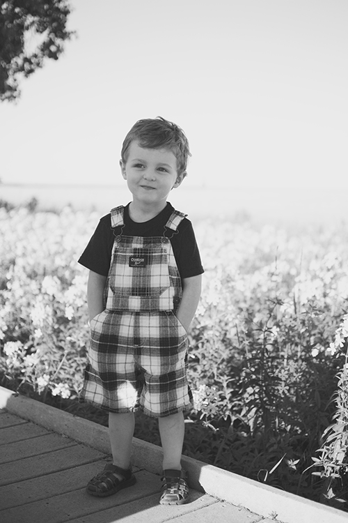Ellis James, Two Year Old Photos | My Darling Days Ellis James, Two Year Old Photos | My Darling Days