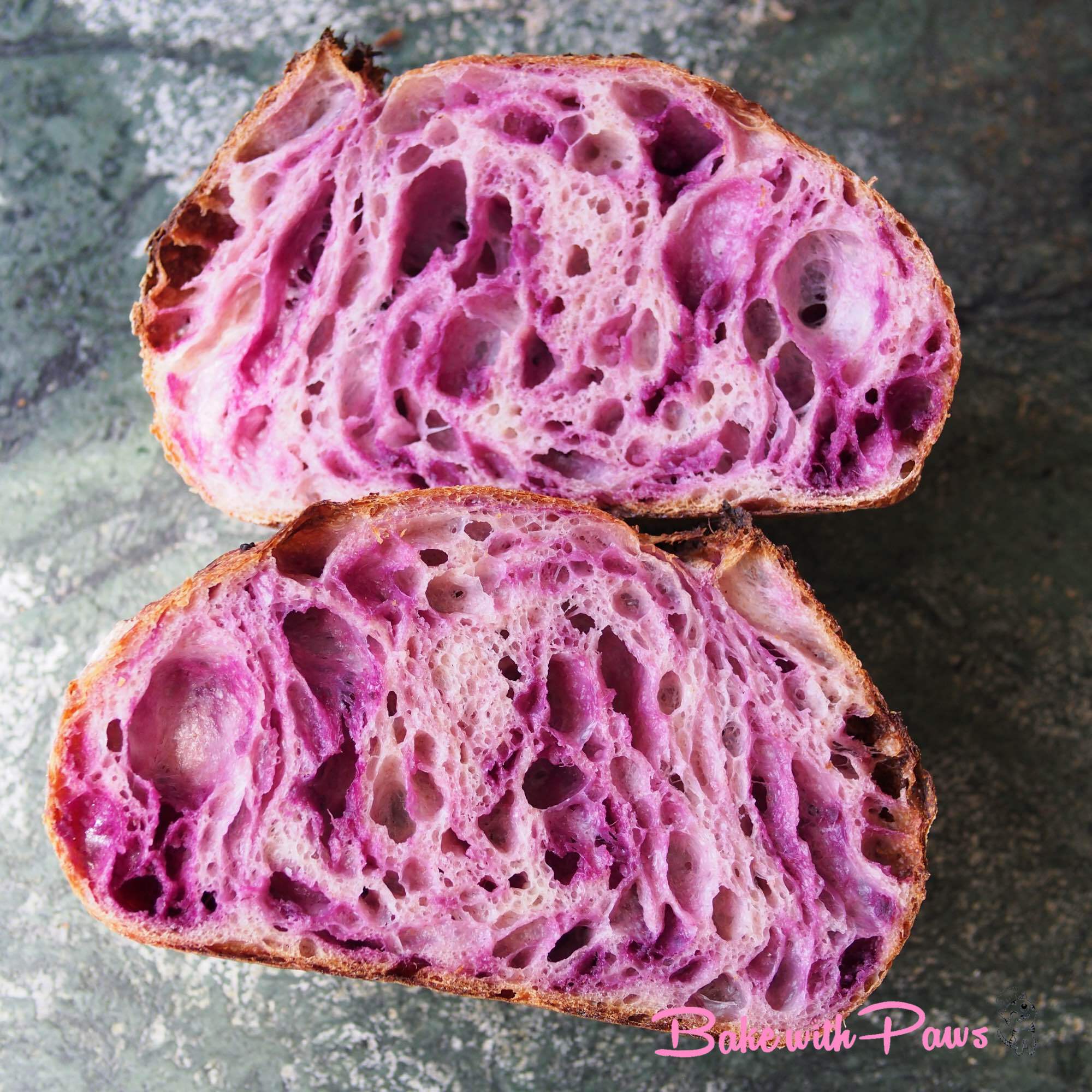 Purple Sweet Potato Open Crumb Sourdough Bread BAKE WITH PAWS