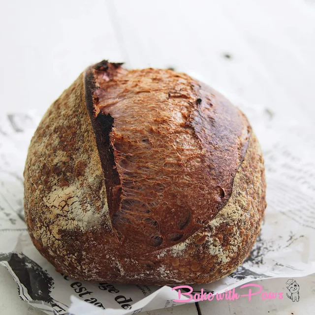 Purple Carrot Open Crumb Sourdough Bread