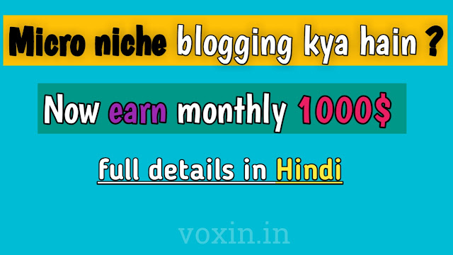 Micro niche blogging kya hain ?