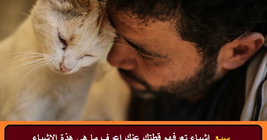 7 اشياء تعرفهم قطتك عنك اعرف ما هي هذة الاشياء