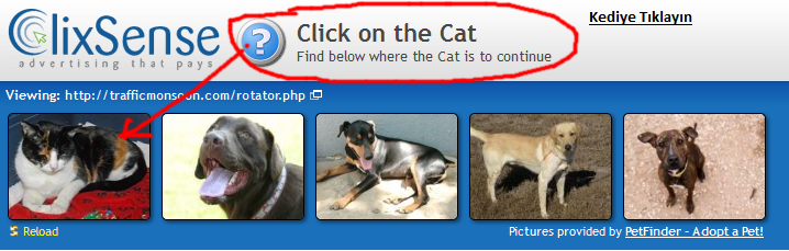гайд find the cat. Avada. гайд find the cat. Introduction to automata theory, languages and computation. Find below.