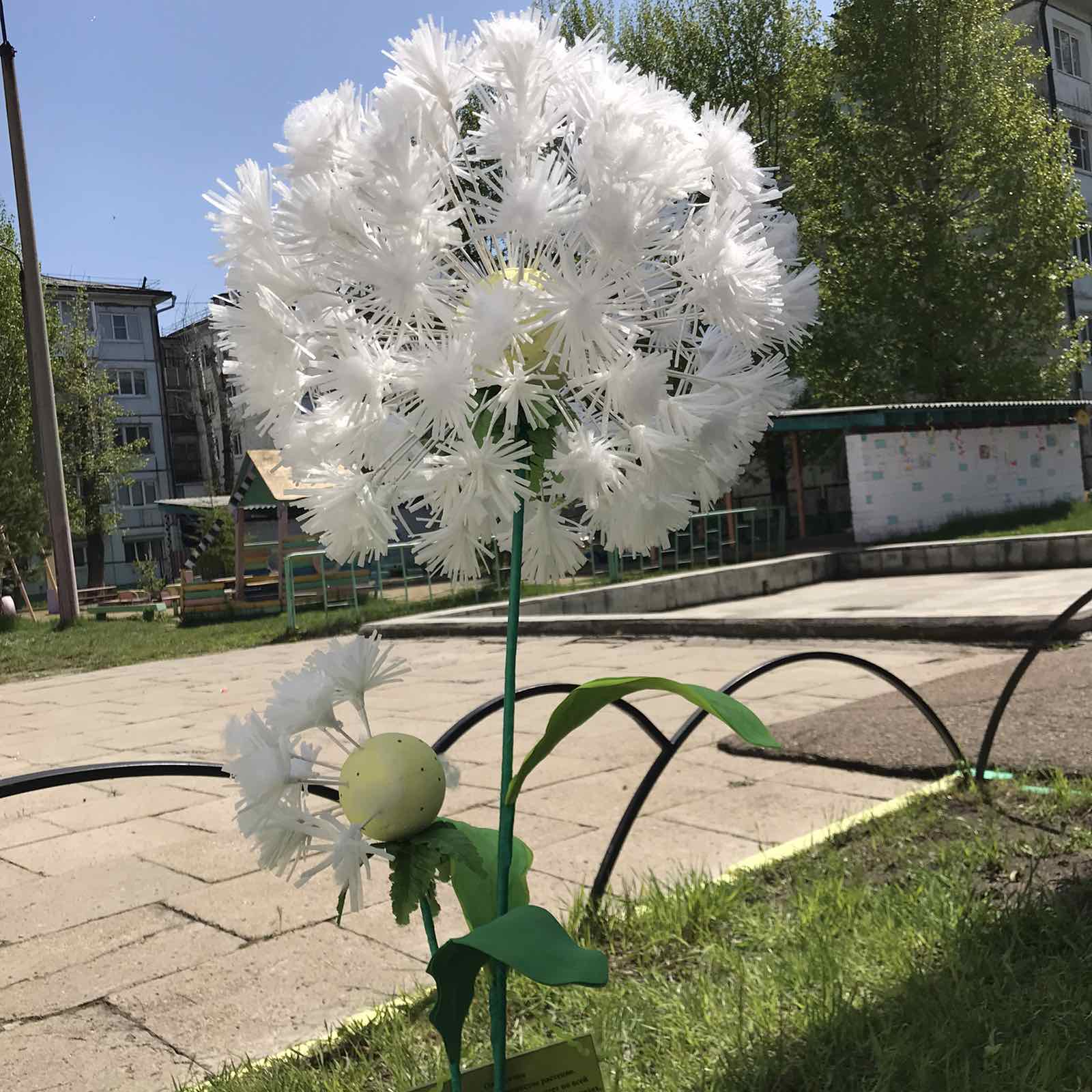 "ЛАДОНЬ И ЛАДОШКА"