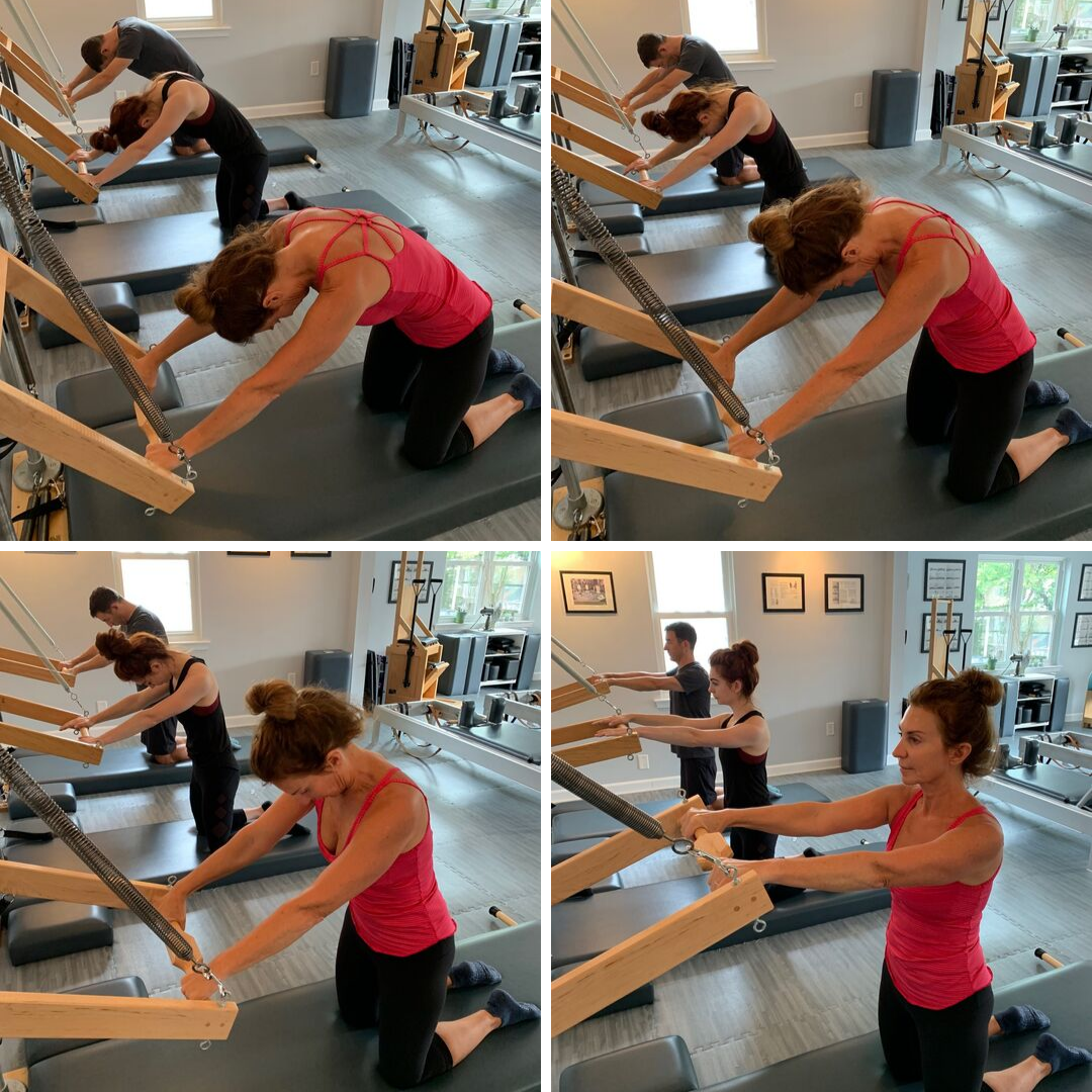 DIGGING DEEPER Get to Know Your Pilates Exercises Cat Excel