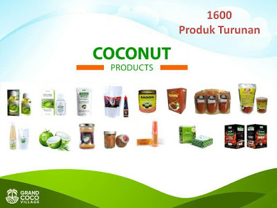 Kavling kebun kelapa di Kalimantan - Investasi Kavling Produktif Grand Coco Village Kavling kebun kelapa di Kalimantan - Investasi Kavling Produktif Grand Coco Village