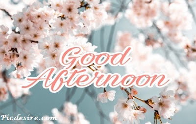 Best 50 Good Afternoon Images 2020 || Good Afternoon Images for Whatsapp Best 50 Good Afternoon Images 2020 || Good Afternoon Images for Whatsapp