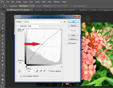 Cara Pertajam Warna Foto Di Photoshop Di Undang Online