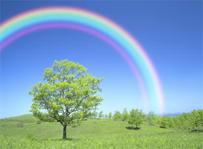 http://1.bp.blogspot.com/-rHb-vkuL4MI/Tdut5Yn485I/AAAAAAAAACA/pxGvGWbTkXQ/s1600/exp-rainbow-main.jpg
