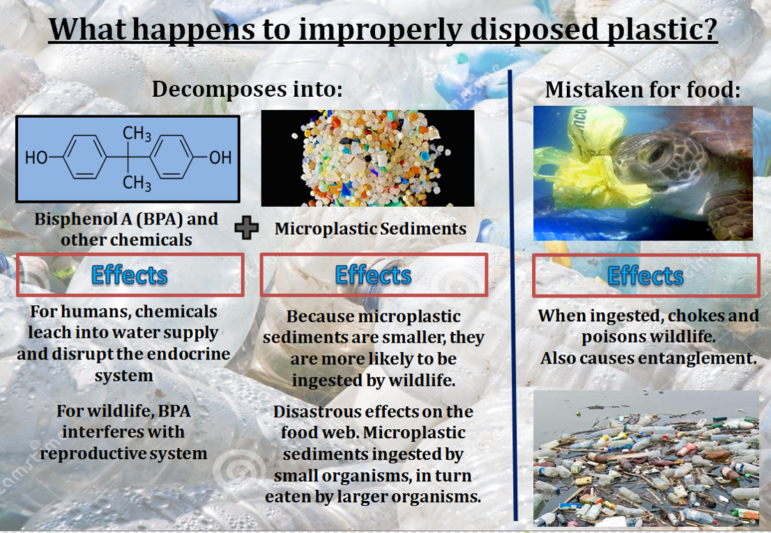 Recycle Buddies February 2015
