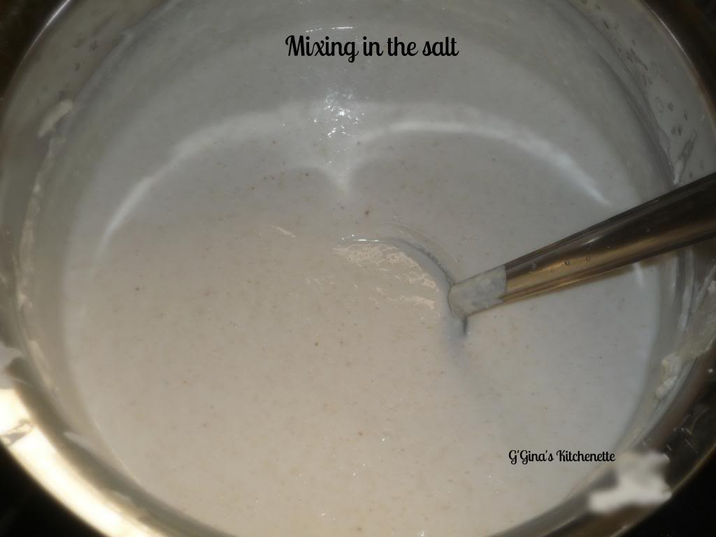 G'Gina's Milk Hoppers or PaalAppam