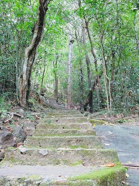 තුරුලතා වලින් වටවුණු - බෝධිනාගල ආරණ්‍යය 🙏 (Bodhinagala Forest Hermitage) - Your Choice Way