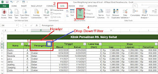 Auto Filter di Excel