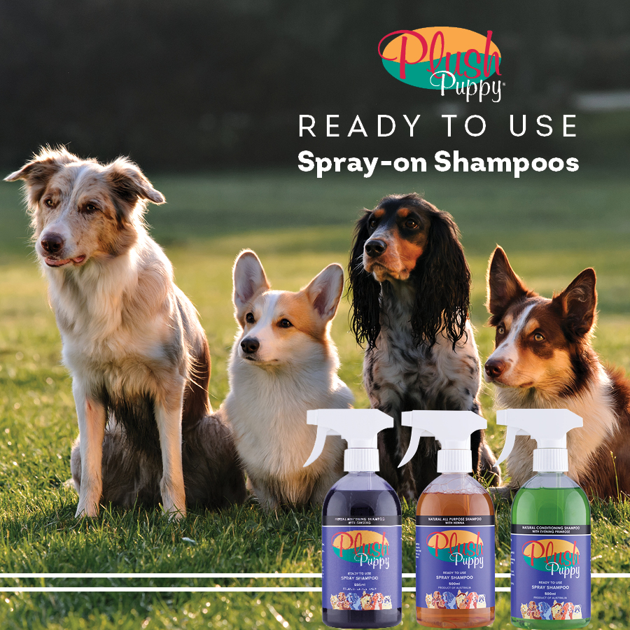 Win 1 of 3 Plush Puppy Dog Grooming Prizes Australian Dog Lover