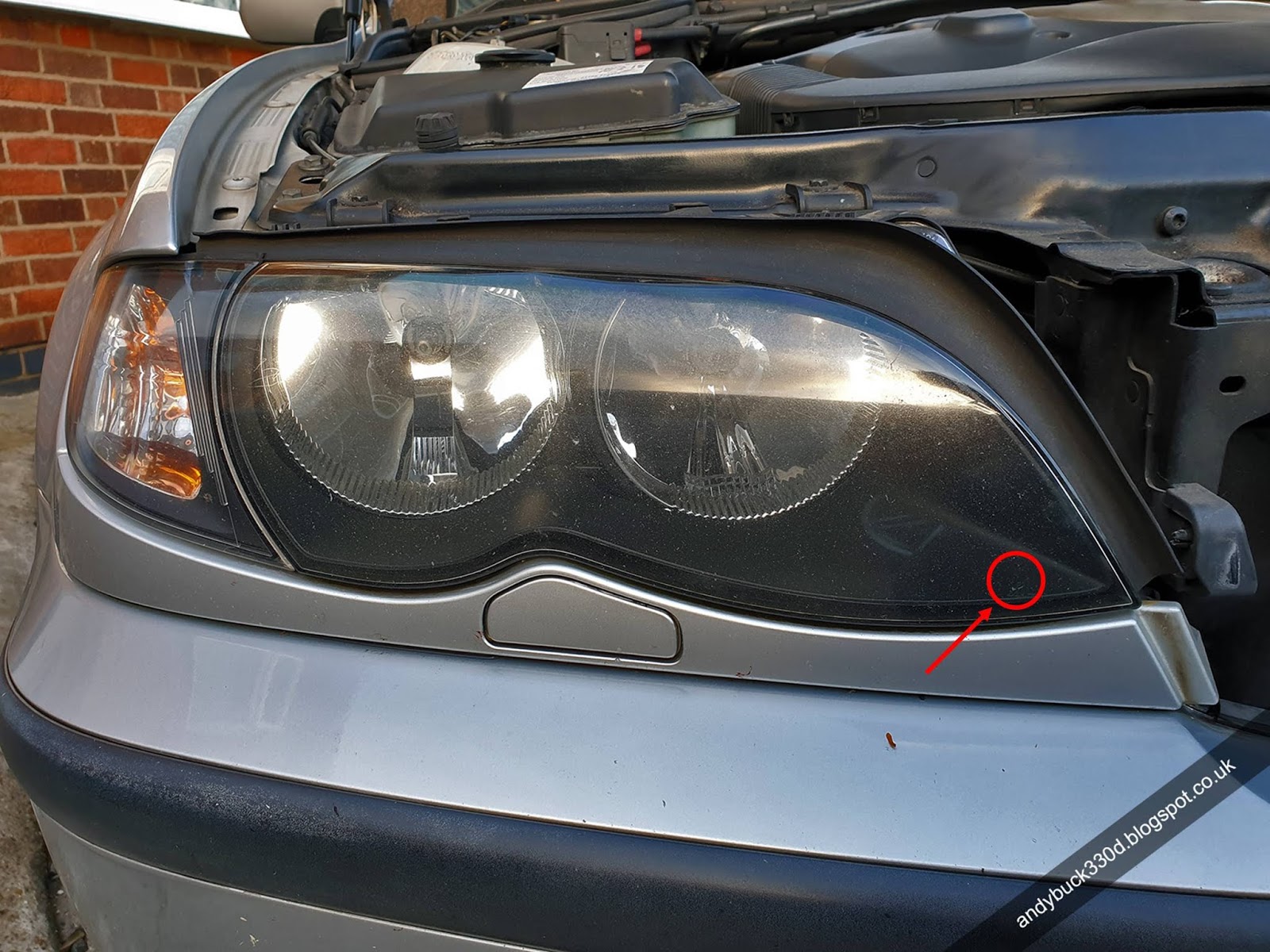 8 Best BMW E46 Headlight Bulbs [Xenon + Halogen]